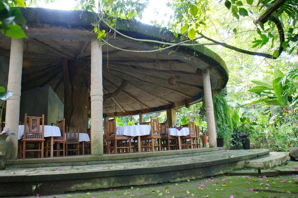 Takalik Maya Lodge El Asintal Exterior photo